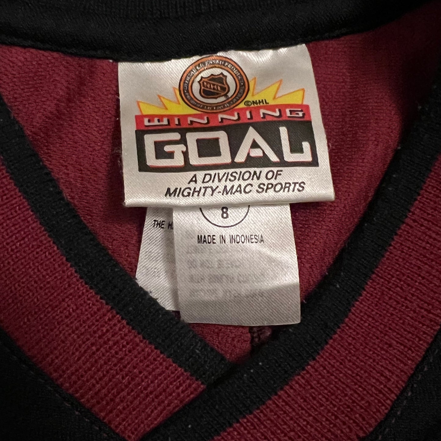 Vintage Phoenix Coyotes Jersey - YS