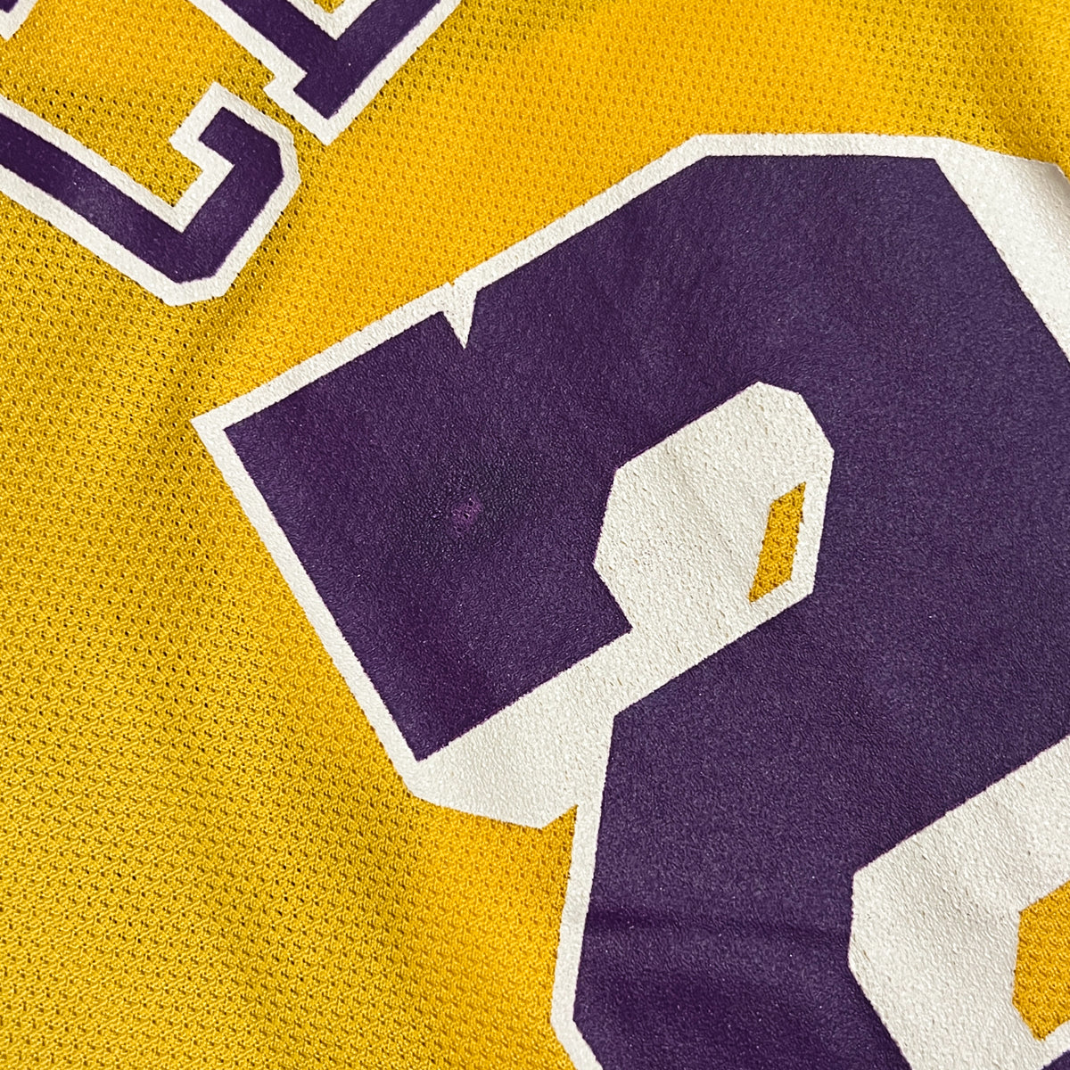 Vintage Cedric Ceballos Los Angeles Lakers Champion Jersey - 40/S