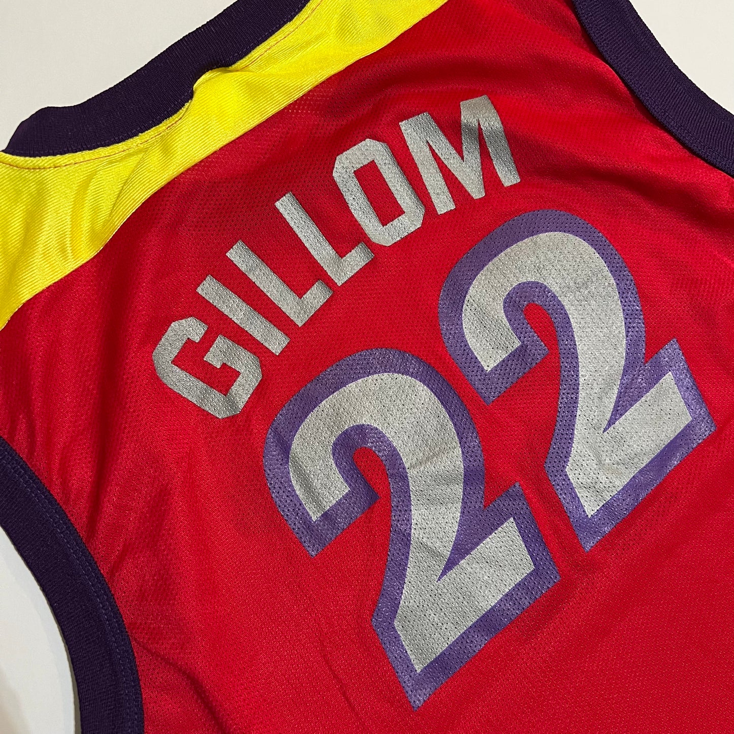 Vintage Phoenix Mercury Jennifer Gillom WNBA Champion Jersey - M
