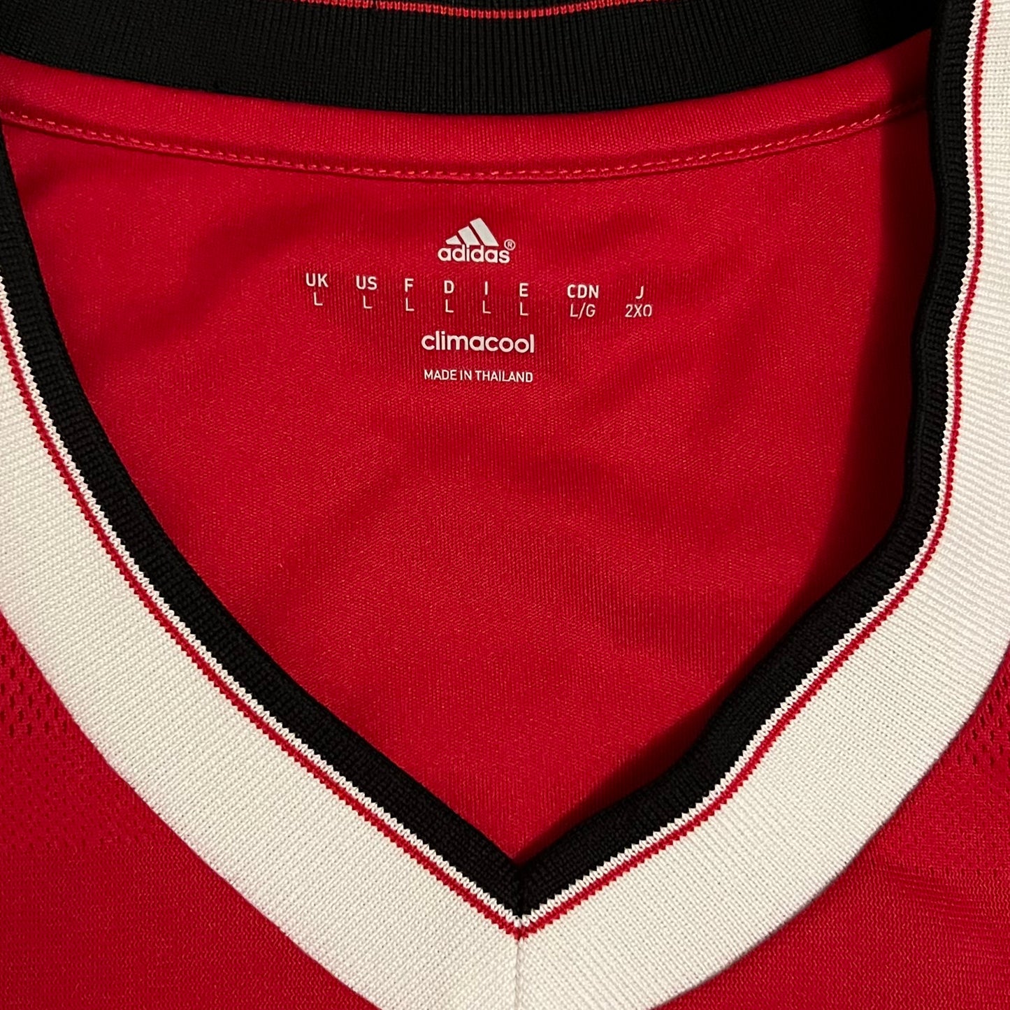 Manchester United 2015-26 Home Jersey - L
