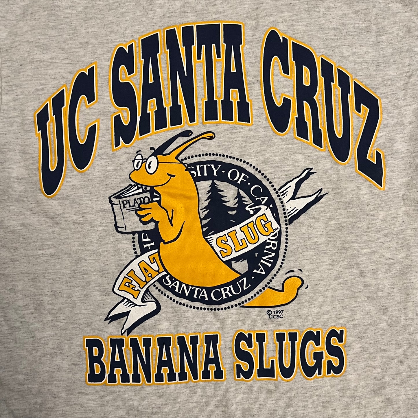UC Santa Cruz Banana Slugs University Shirt - S