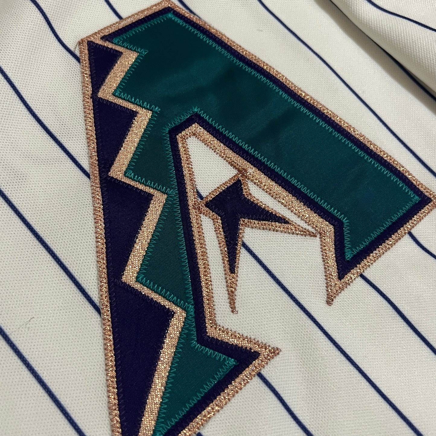 Vintage Signed Team Issued Arizona Diamondbacks D. Baxter Mascot Jersey - 52