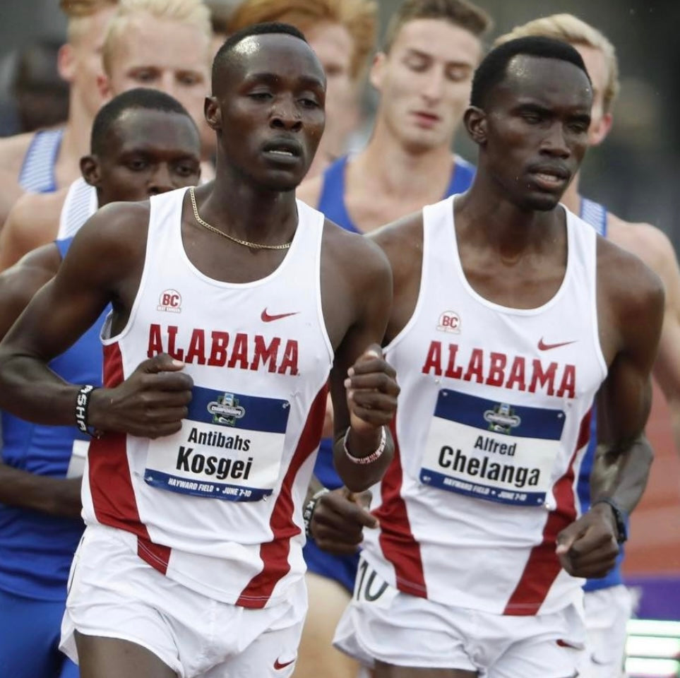 2017 Alabama Crimson Tide Track & Field Tank Top - L