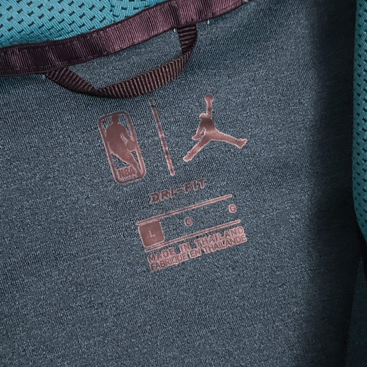 Authentic Charlotte Hornets Teal NBA Showtime Performance Hoodie - L