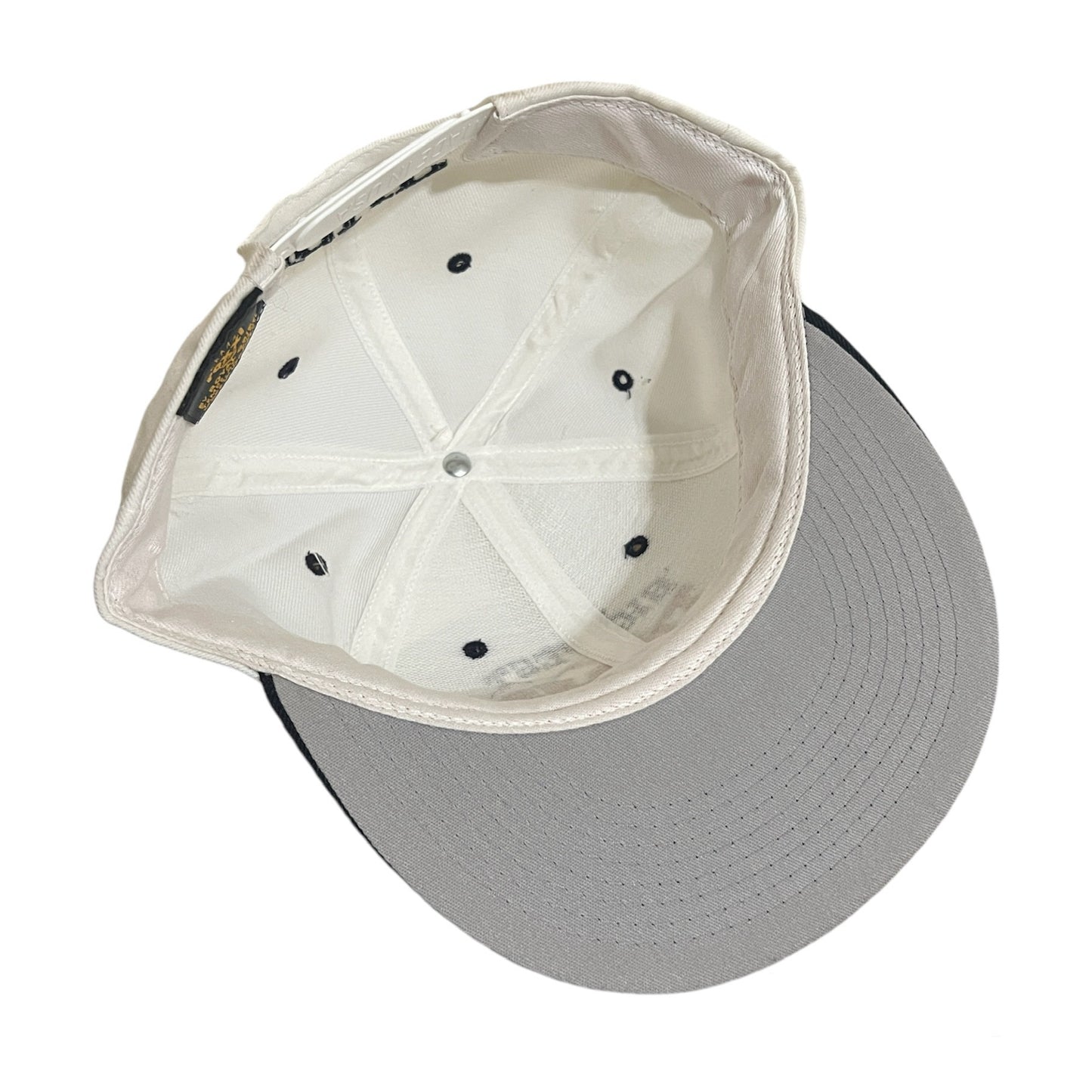 Vintage Cal State Fullerton Titans Baseball Big West Champions Snapback