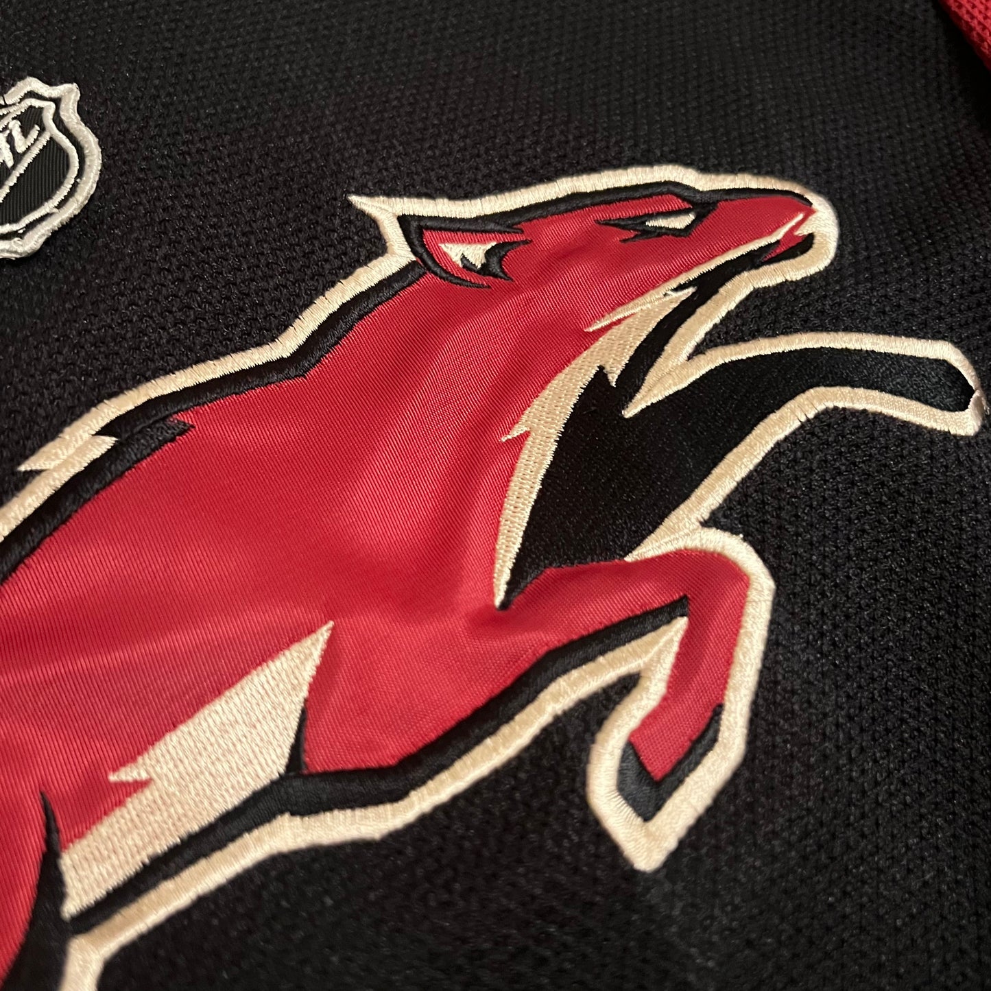 Arizona Coyotes 2008-14 Alternate Jersey - YS/M