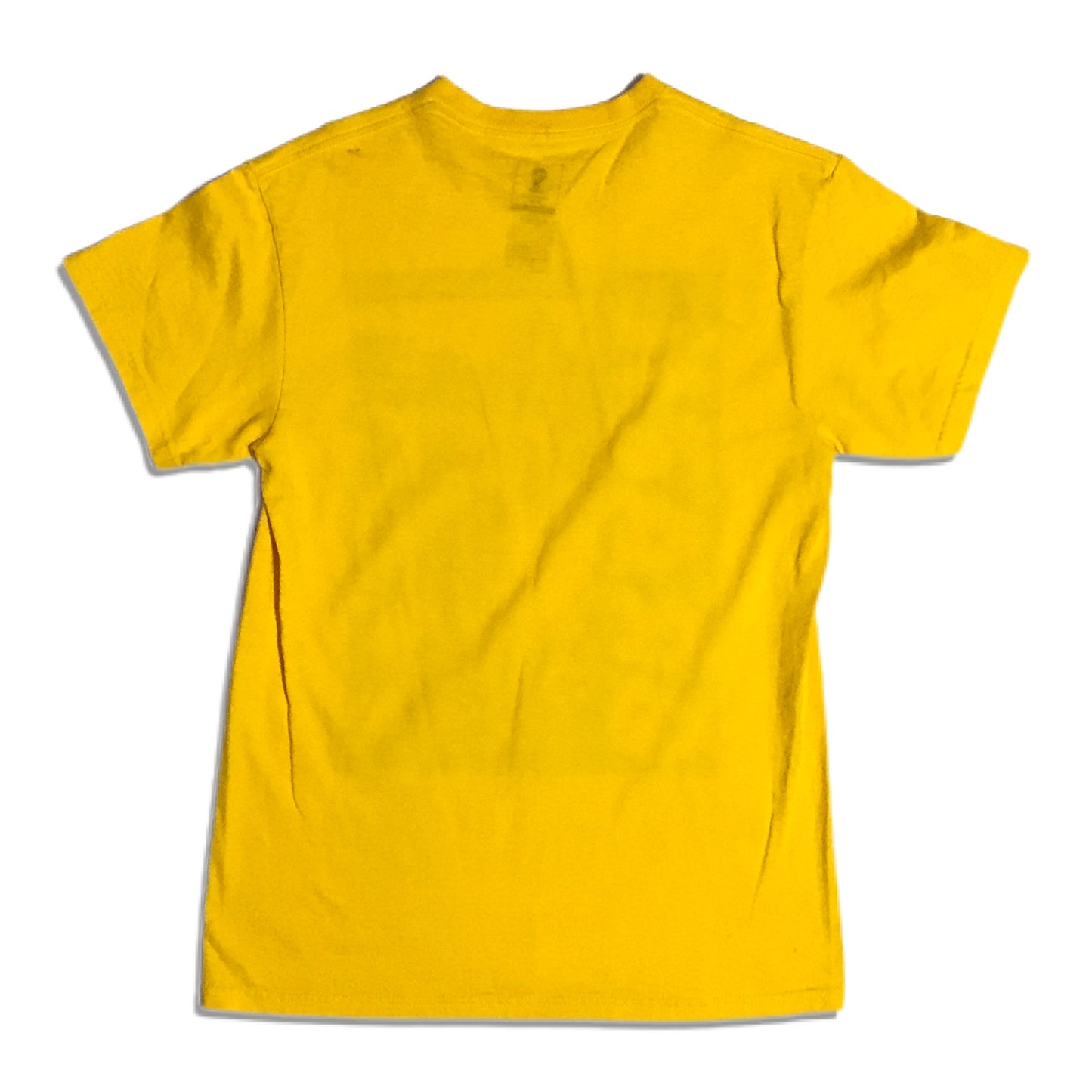 2014 FIFA World Cup Brazil Shirt - M