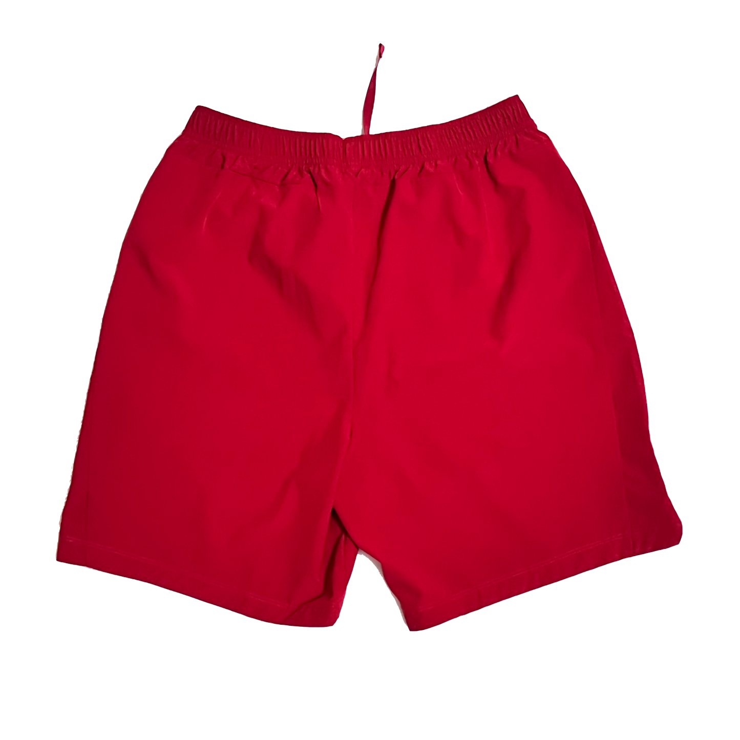Team Issued Arizona Cardinals #17 On-Field Nike Shorts - M
