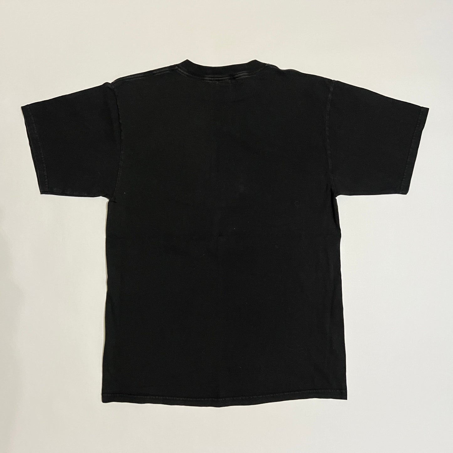 1995 Arizona Diamondbacks Team Logo Shirt - L