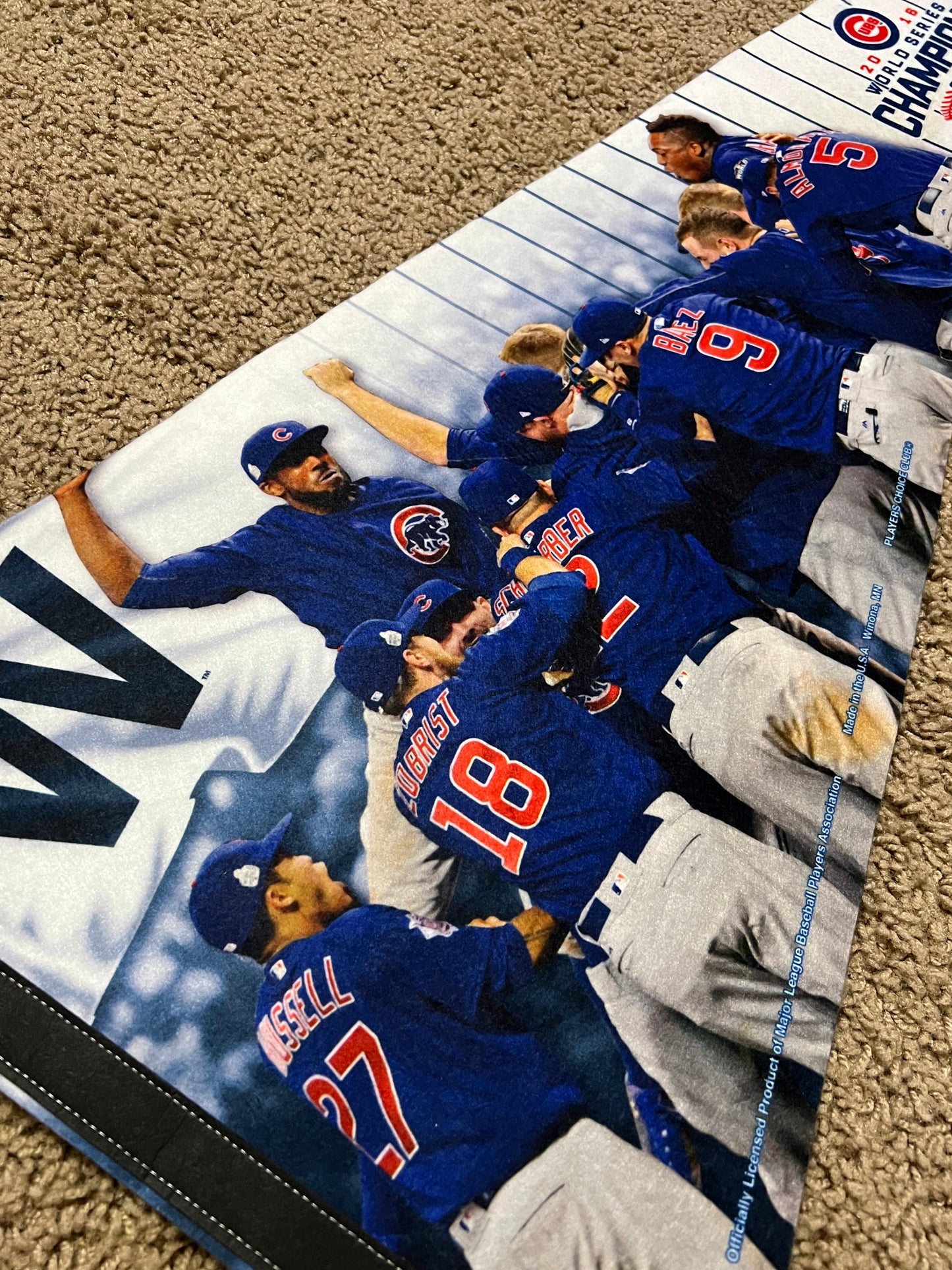 Chicago Cubs MLB World Series Champions Large Pennant