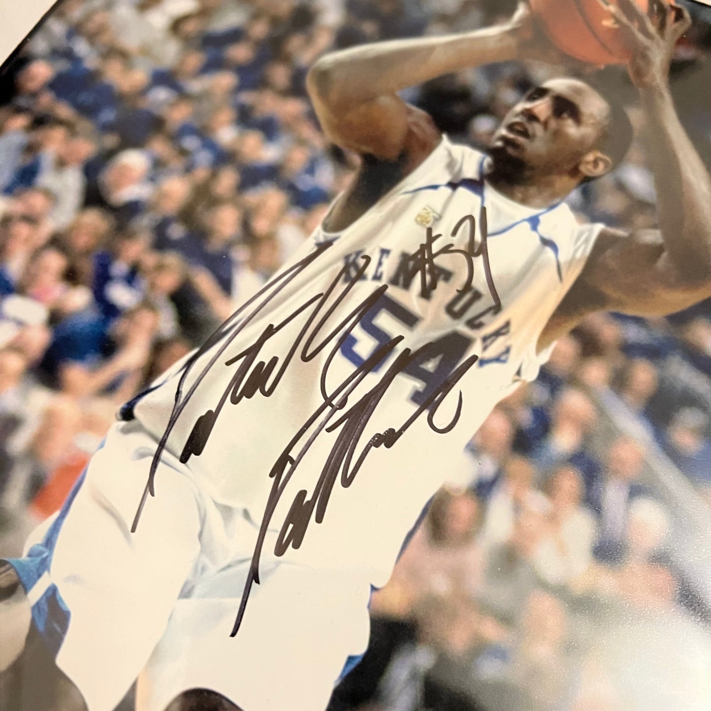 Signed Patrick Patterson University of Kentucky Wildcats Photo