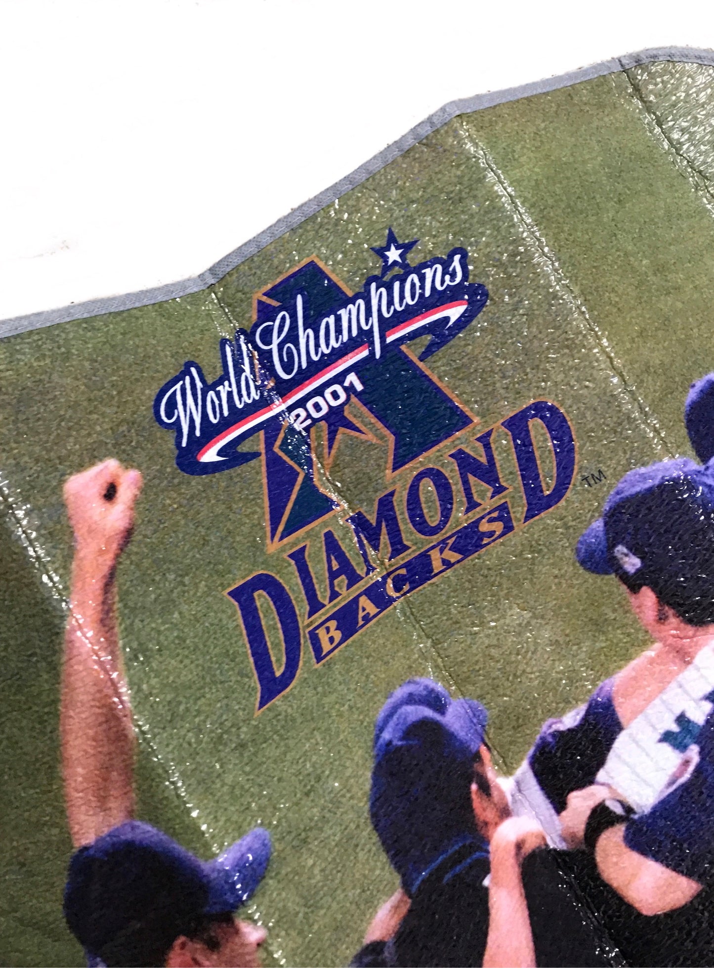 2001 Arizona Diamondbacks World Series Champs Winshield Shade
