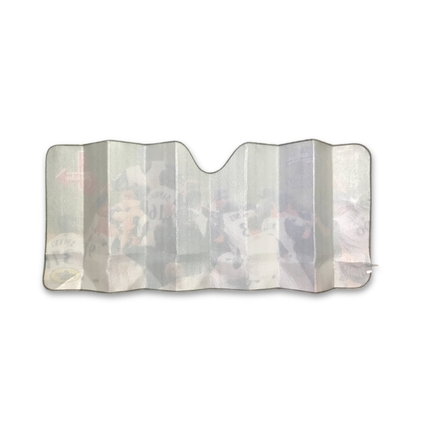 2001 Arizona Diamondbacks World Series Champs Winshield Shade