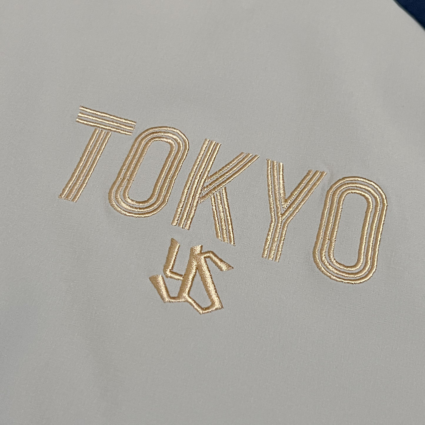 Team Issued Tokyo Yakult Swallows NPB Pullover - L