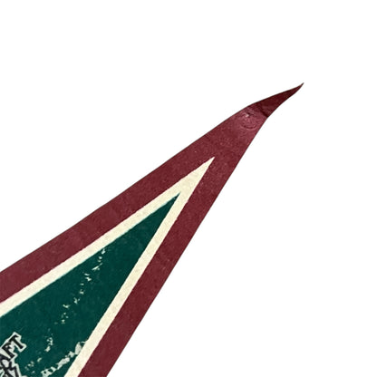 Vintage Phoenix Coyotes NHL Pennant