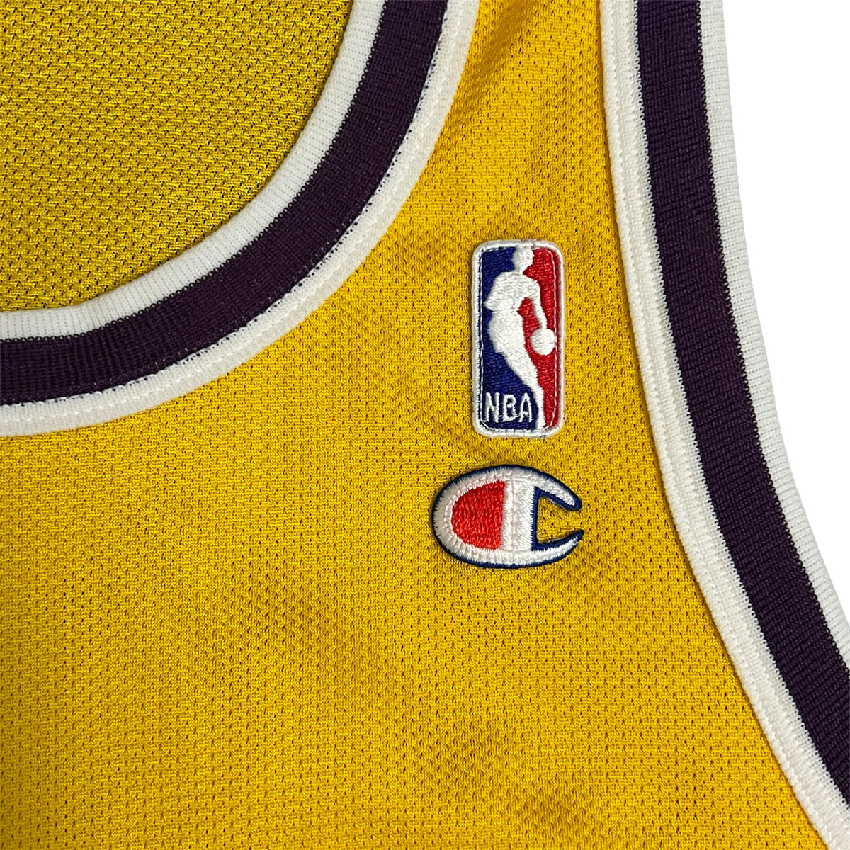 Vintage Cedric Ceballos Los Angeles Lakers Champion Jersey - 40/S