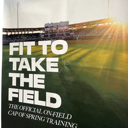 Chicago Cubs 2023 Spring Training New Era Advertisement Banner