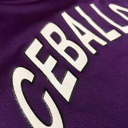 Vintage Cedric Ceballos Phoenix Suns Jersey - 48