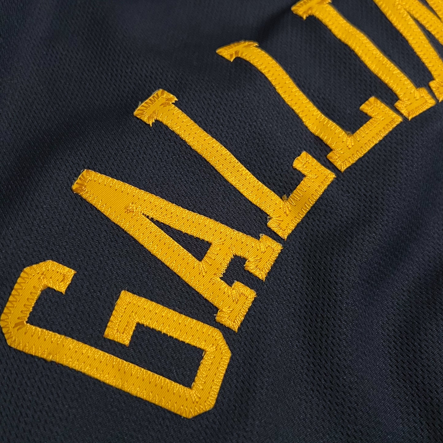 Danilo Gallinari Denver Nuggets Jersey - XL