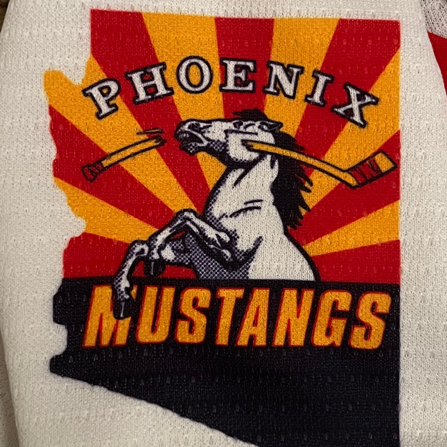 Vintage Phoenix Mustangs WCHL Minor League Hockey Jersey - M