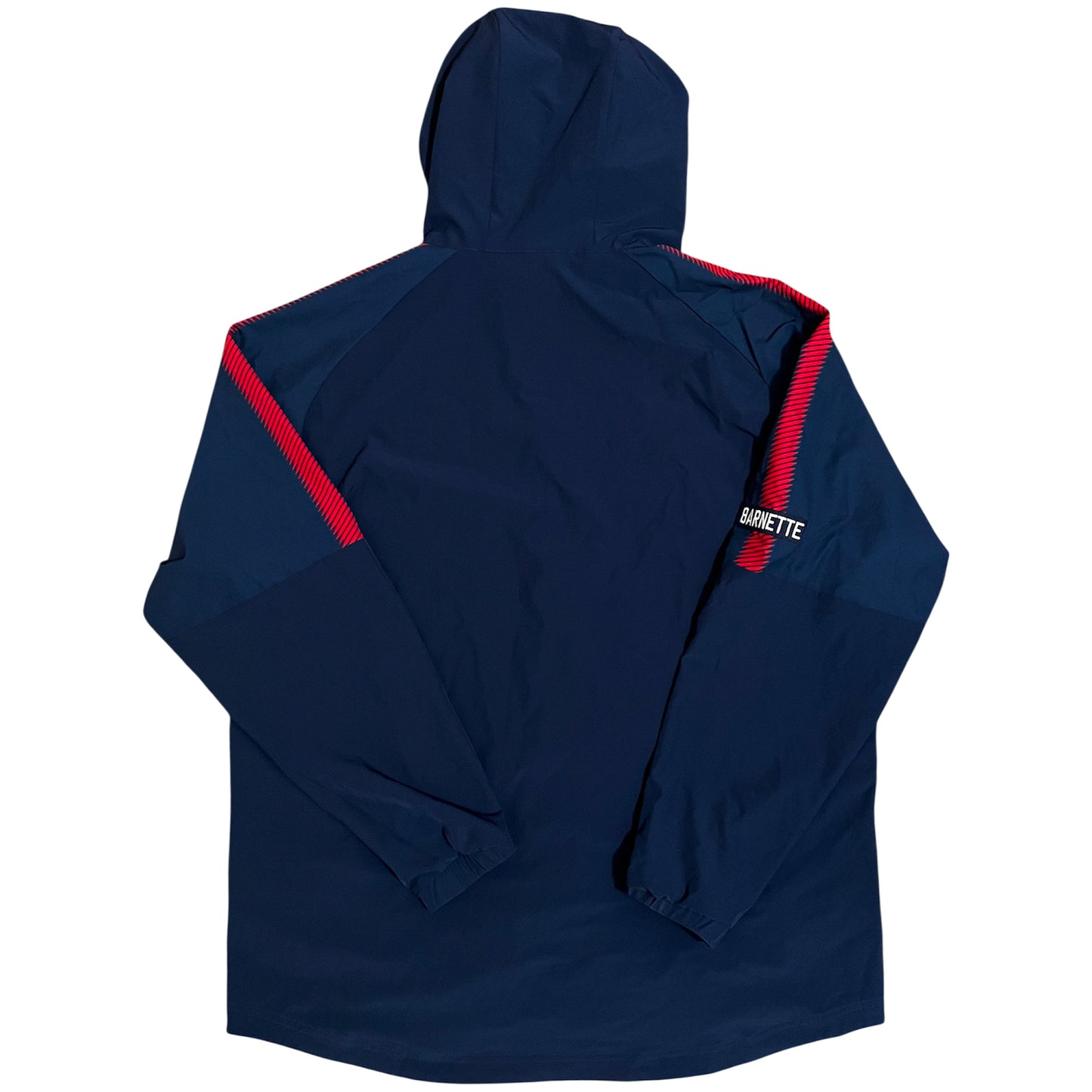 Team Issued Tokyo Yakult Swallows NPB Pullover Hoodie - L