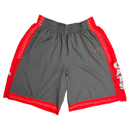 Authentic 2011/12 Arizona Wildcats Nike Hyper Elite Platinum Shorts - 2XL