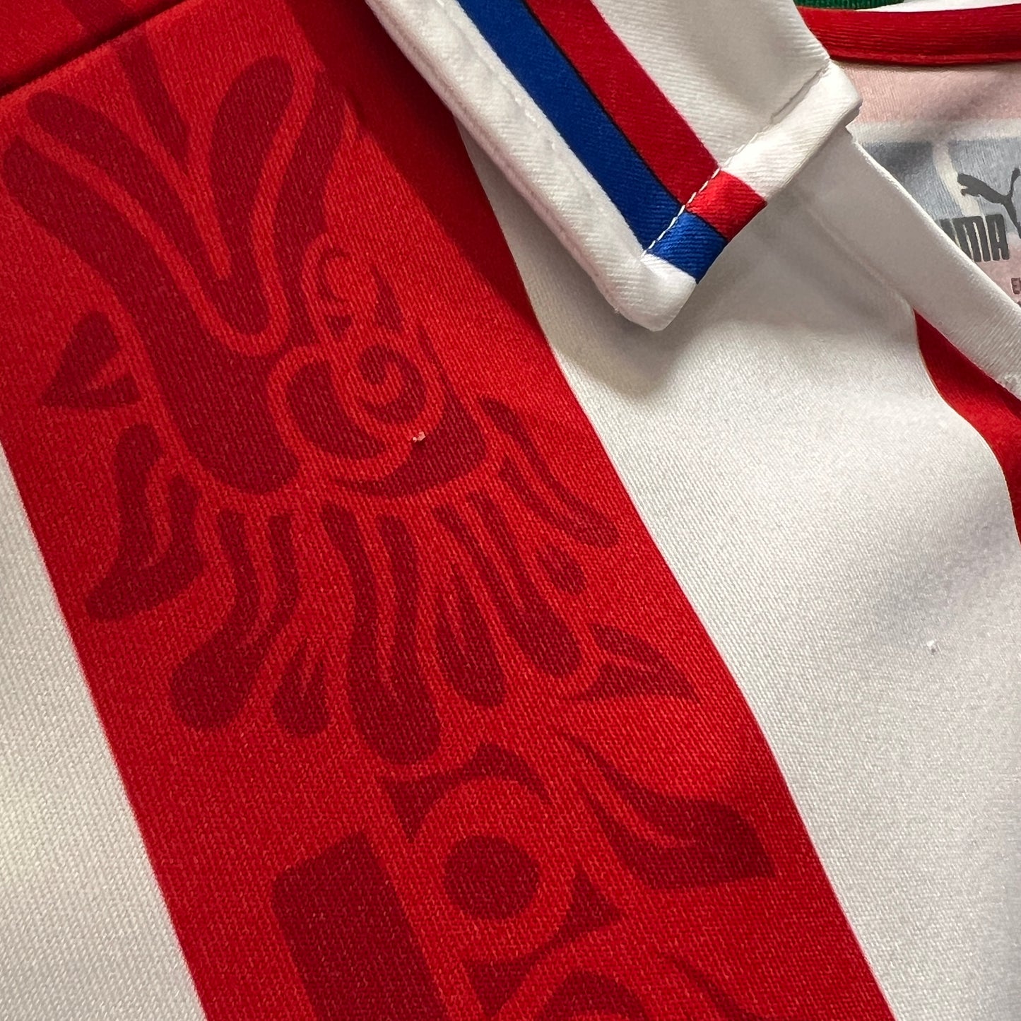 Chivas de Guadalajara 2020/21 Jersey - M