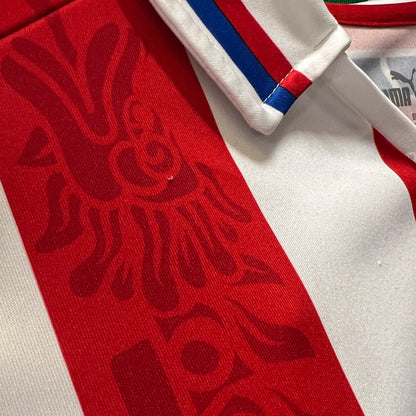 Chivas de Guadalajara 2020/21 Jersey - M