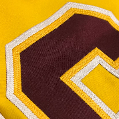 Minnesota Golden Gophers Team Issued Jersey - 46