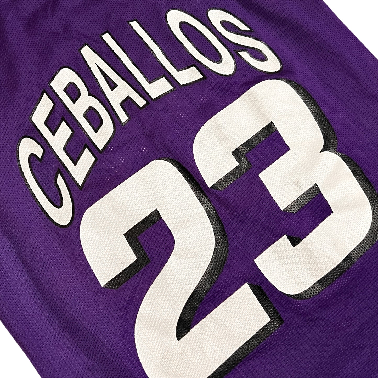 Vintage Phoenix Suns Cedric Ceballos Jersey - 36