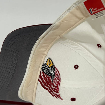 90’s Arizona Cardinals Snapback