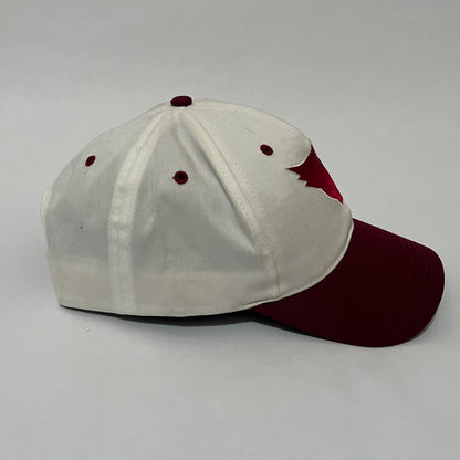 90’s Arizona Cardinals Snapback