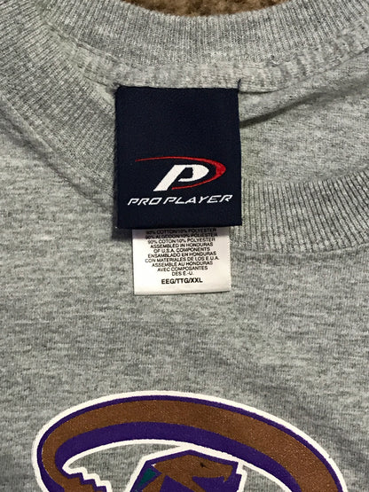 Vintage 1999 Arizona Diamondbacks Division Champs Playoff Shirt - 2XL