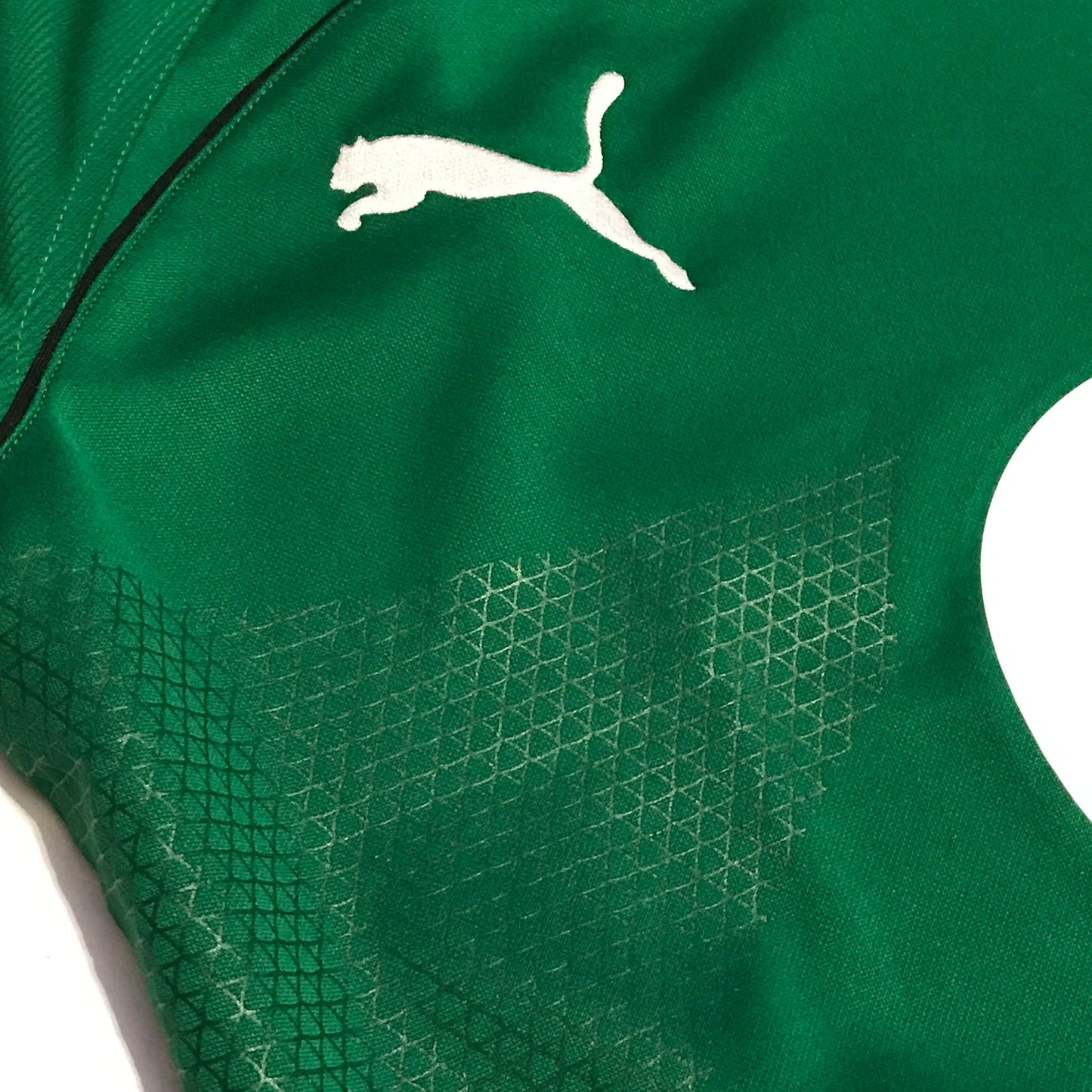 Ireland Rugby Puma Home Jersey - L
