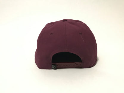 Anaheim Mighty Ducks Snapback