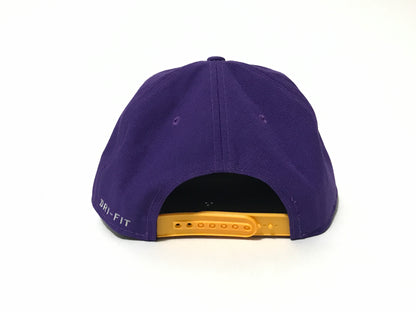 LSU Tigers Eye of the Tiger Nike Dri Fit Snapback