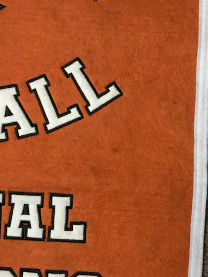 Large Texas Longhorns National Championship Banner