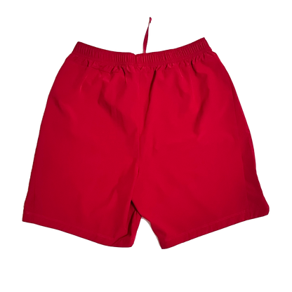 Team Issued Arizona Cardinals #17 On-Field Nike Shorts - M