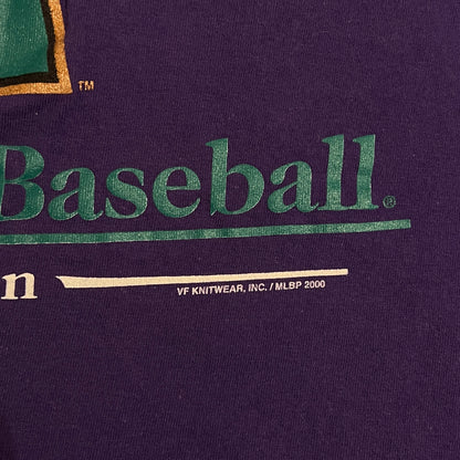 2000 Arizona Diamondbacks MLB Team Shirt - L