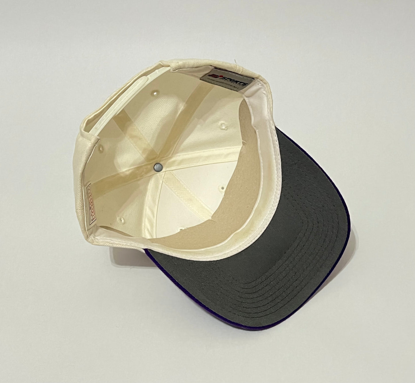 Vintage Arizona Diamondbacks Snapback