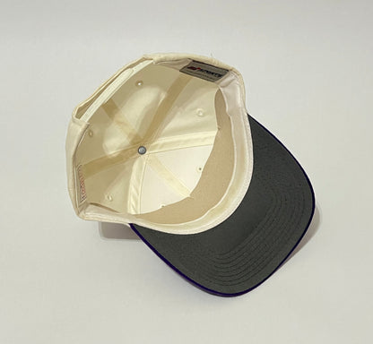 Vintage Arizona Diamondbacks Snapback
