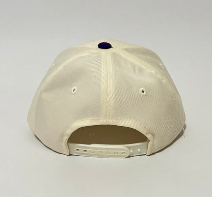 Vintage Arizona Diamondbacks Snapback