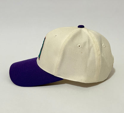 Vintage Arizona Diamondbacks Snapback